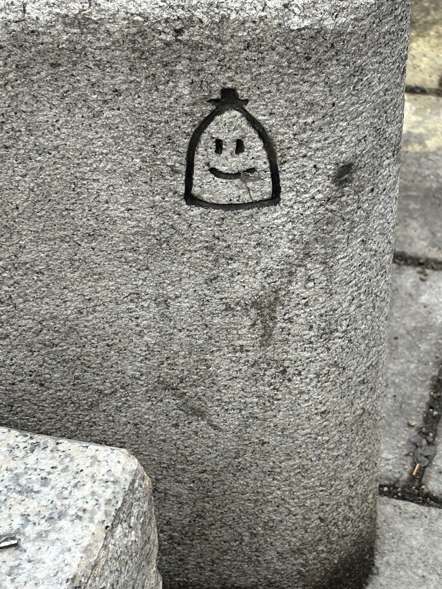 요리조리도리미돌이 tweet media