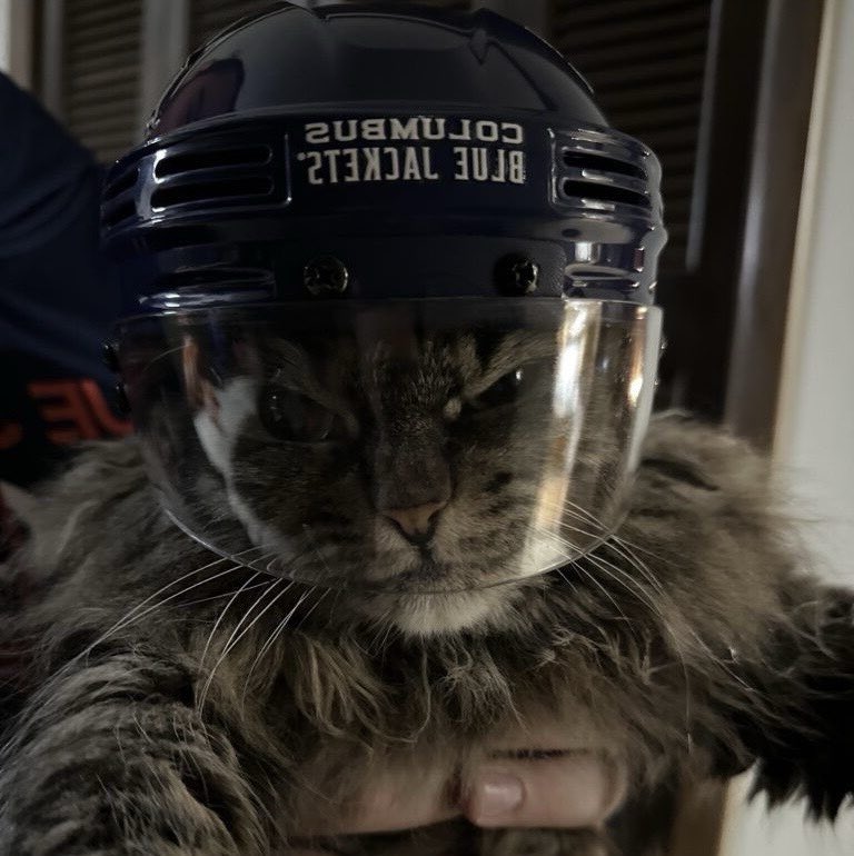 professional cat-ifyer of the HR cast tweet media