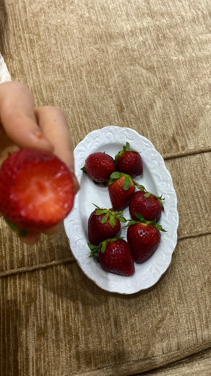 ﮼راء،هاء 🇵🇸||🇱🇾 tweet media