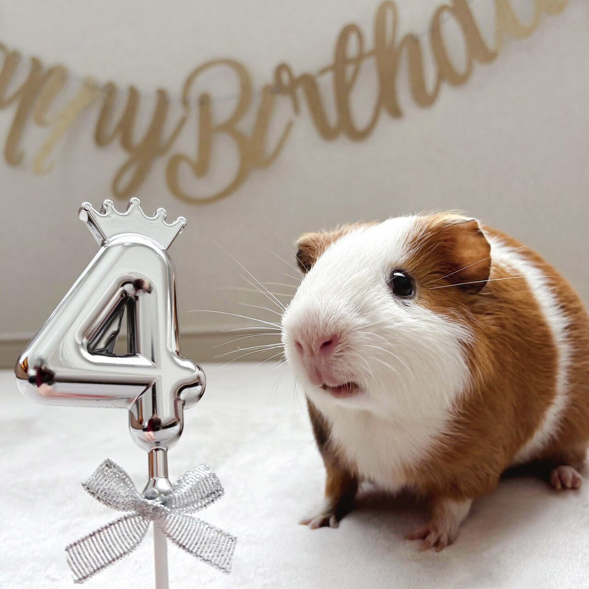 *ゆったりハリーさん*羊毛フェルト tweet media