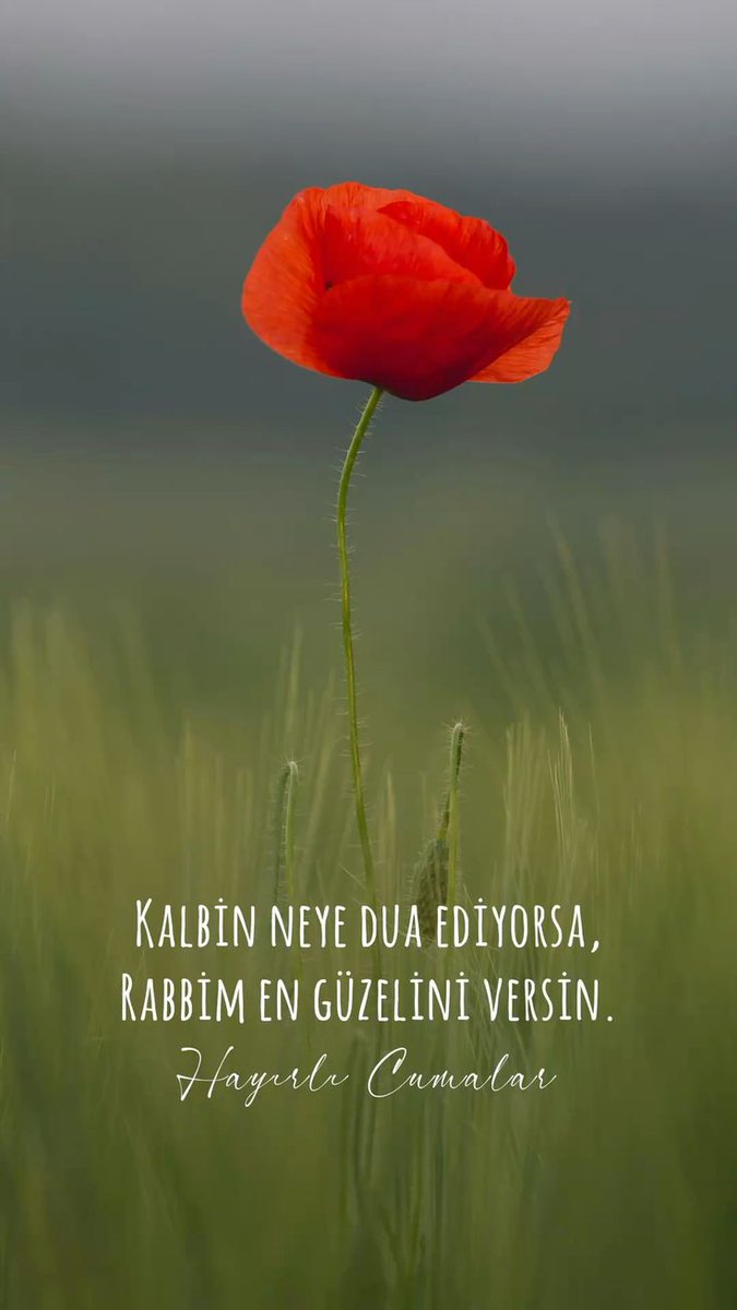 ber 🇹🇷 {1ikonuşuyor} tweet media