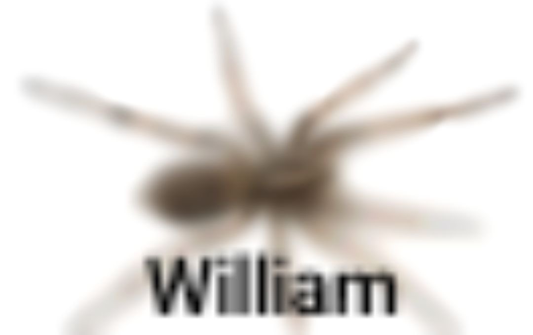 ꕤ 𝒿ℯ𝓈𝓈 ꔛ♡̷ tweet media