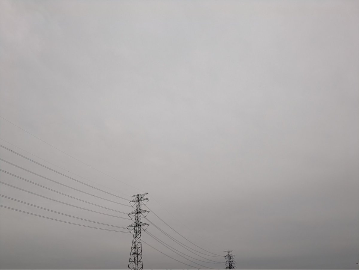 らんてぃす tweet media