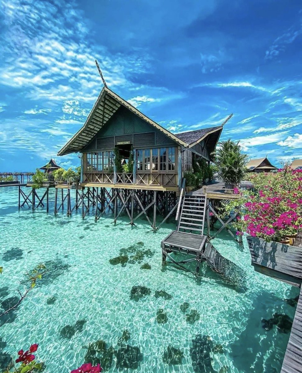 トラベルちゃん✈️ tweet media