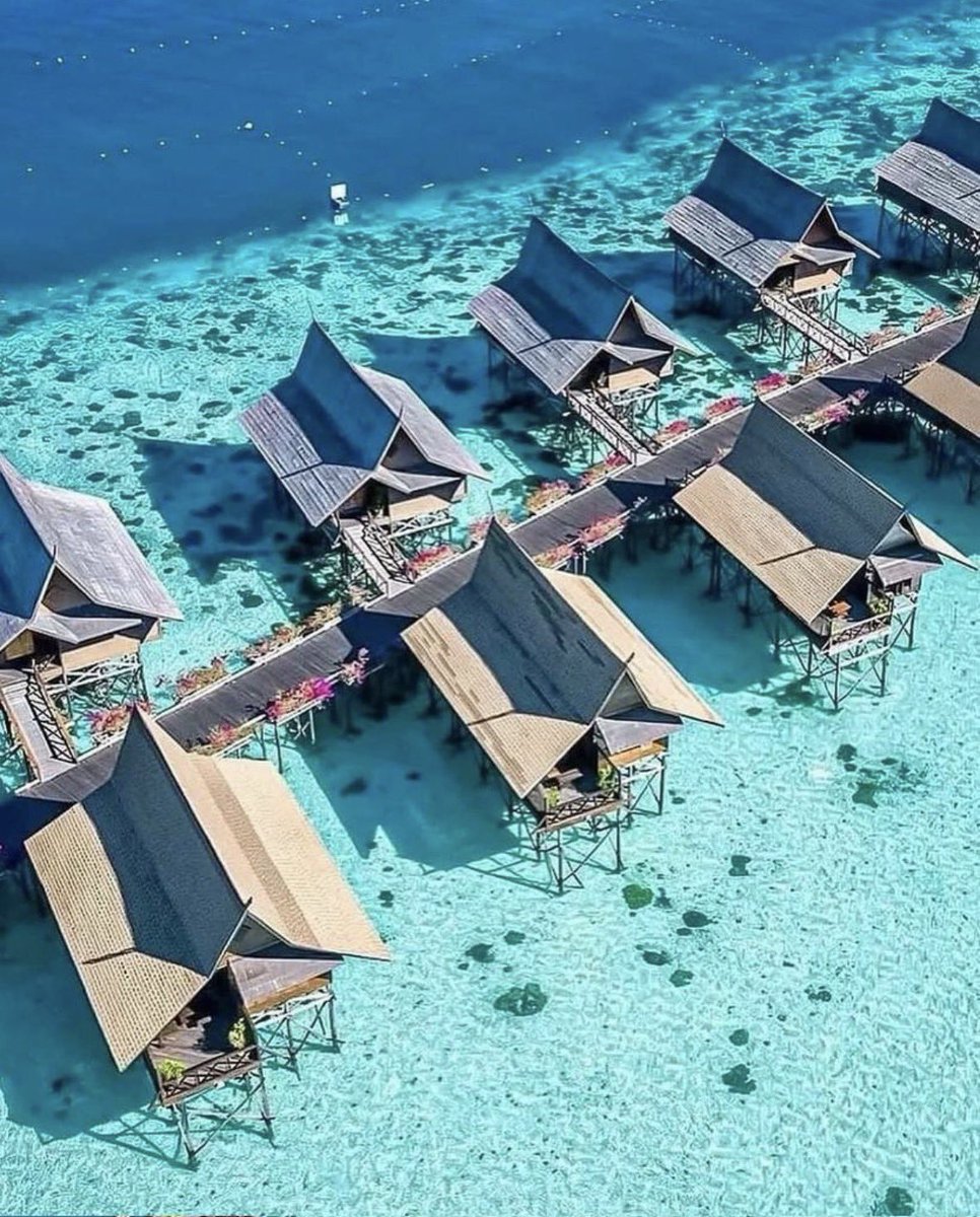 トラベルちゃん✈️ tweet media