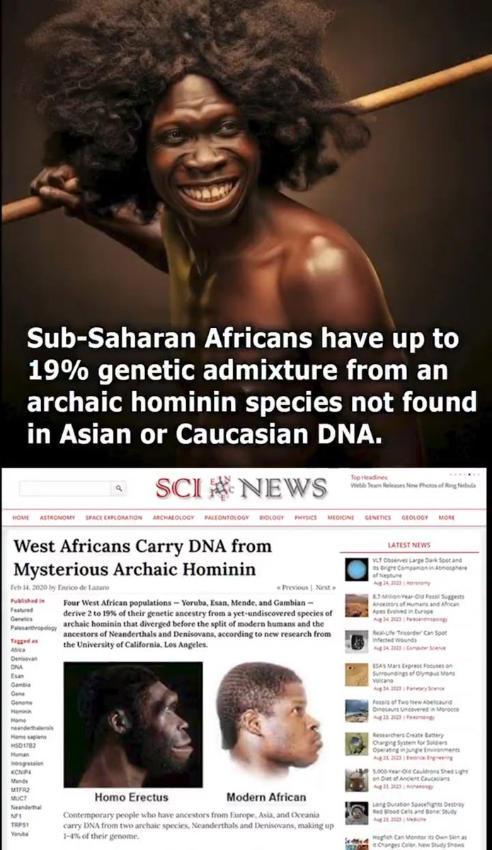 𝗜𝗰𝗮𝗿𝘂𝘀♔ tweet media