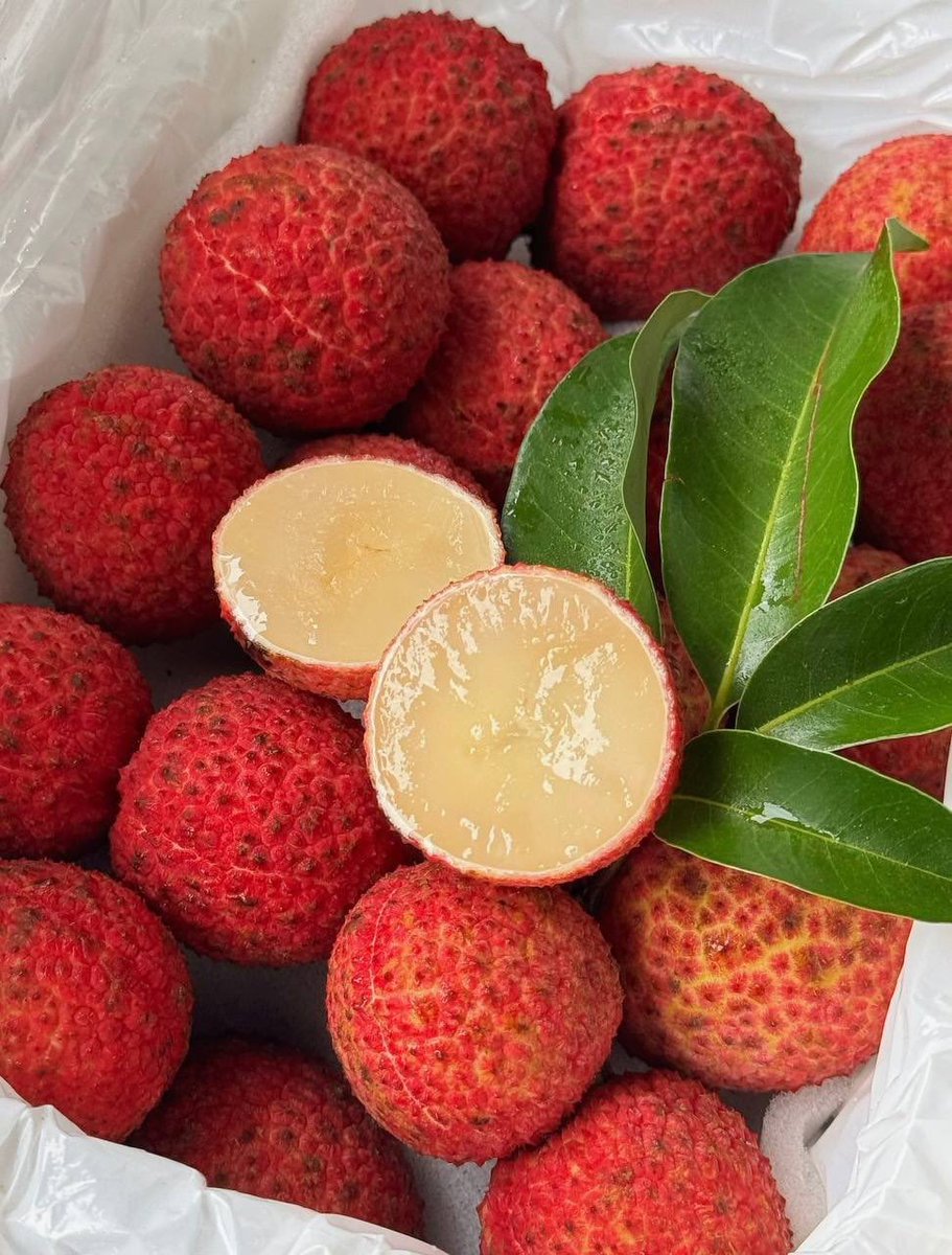 小仔仔 tweet media