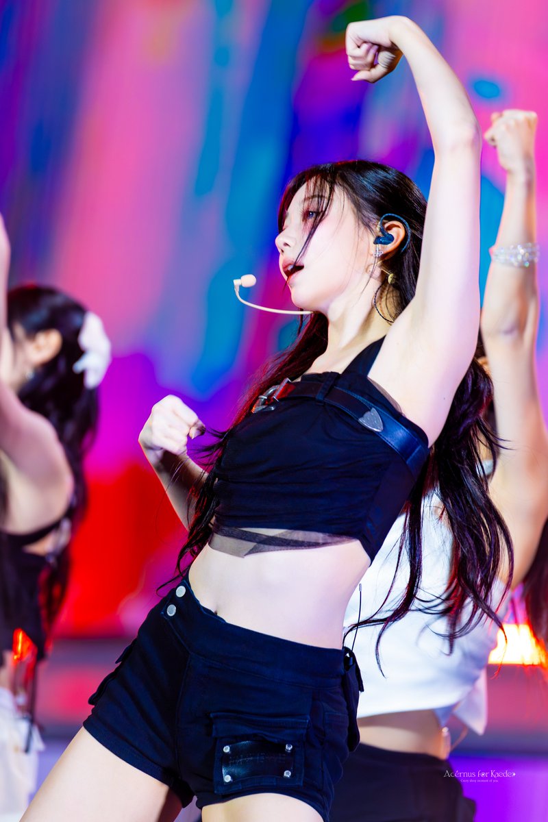 단풍자리 Acérnus tweet media