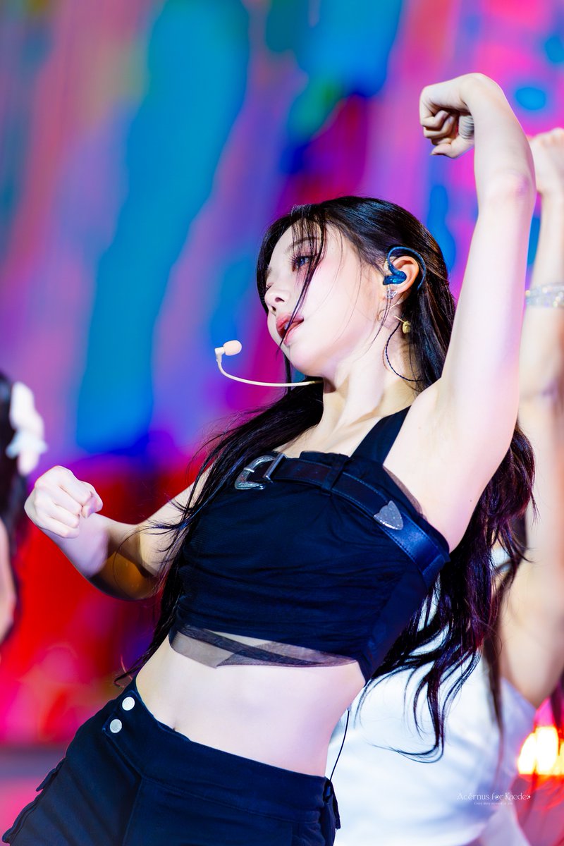 단풍자리 Acérnus tweet media