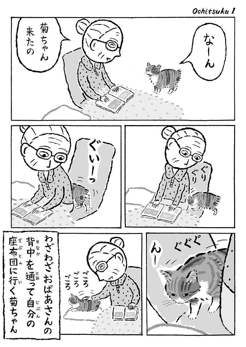 湊文『猫の菊ちゃん』 tweet media