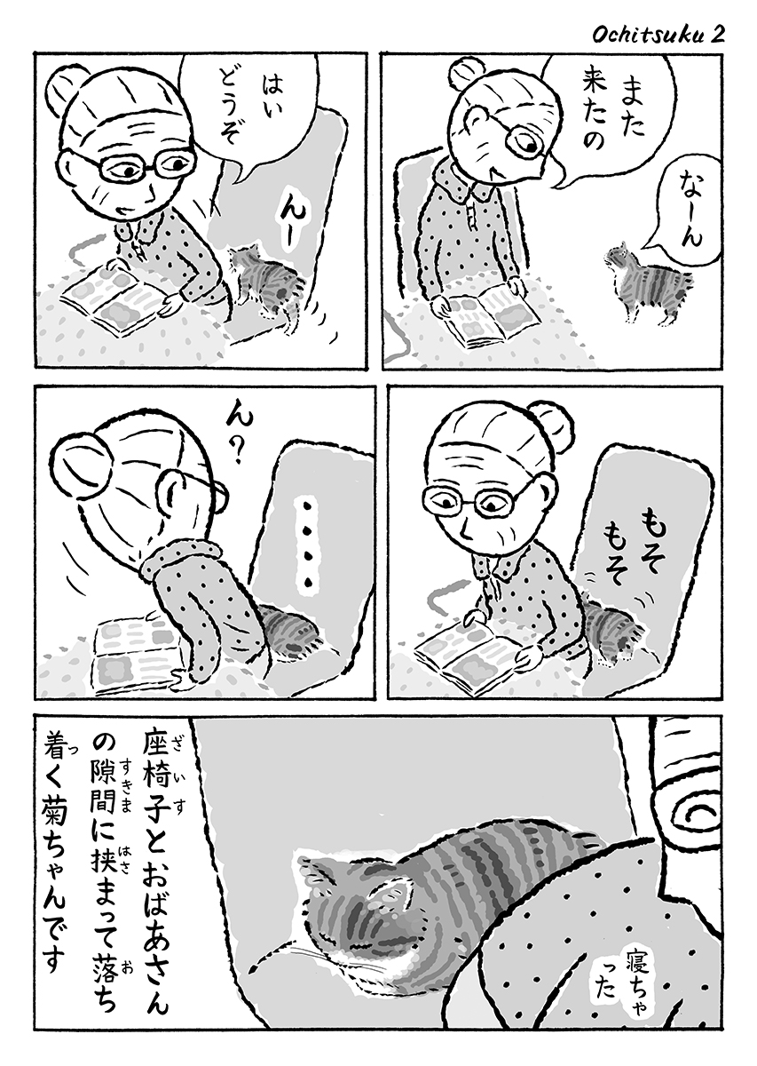 湊文『猫の菊ちゃん』 tweet media