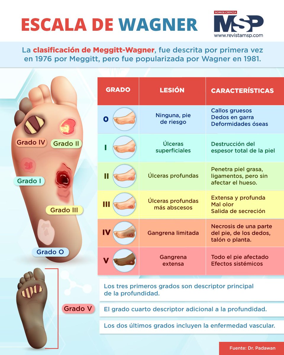 Revista MSP tweet media