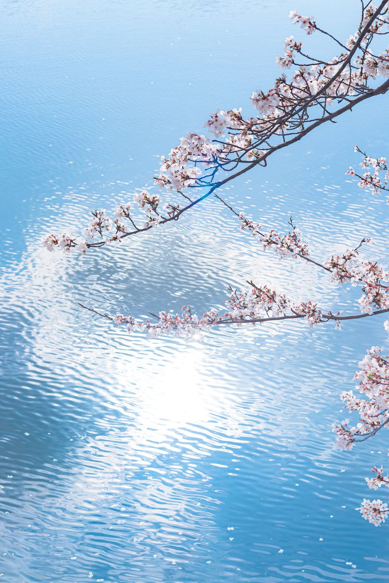 空に青。 tweet media