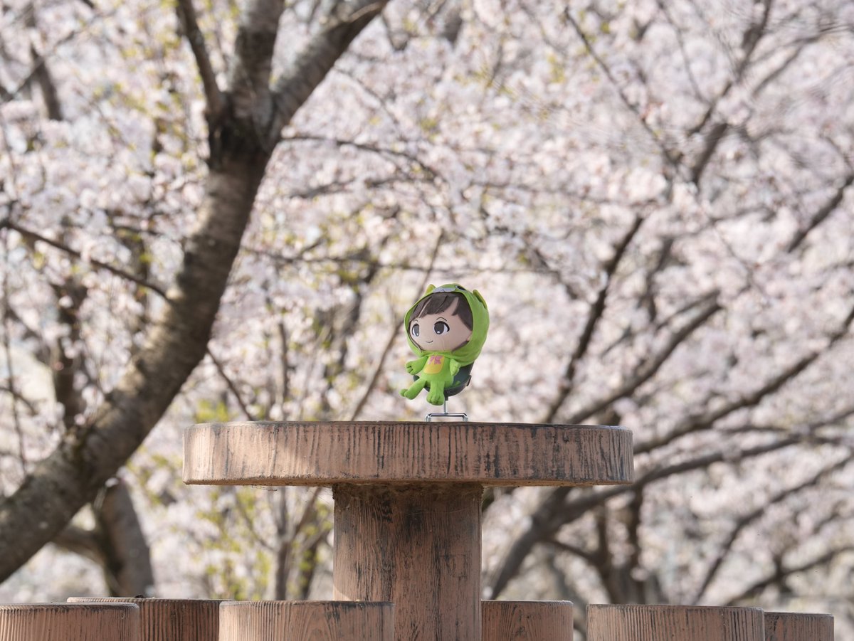 湖南マクレガー tweet media