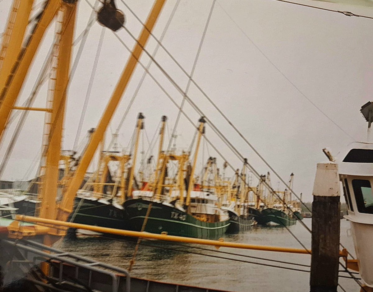 EMK-vissers tweet media