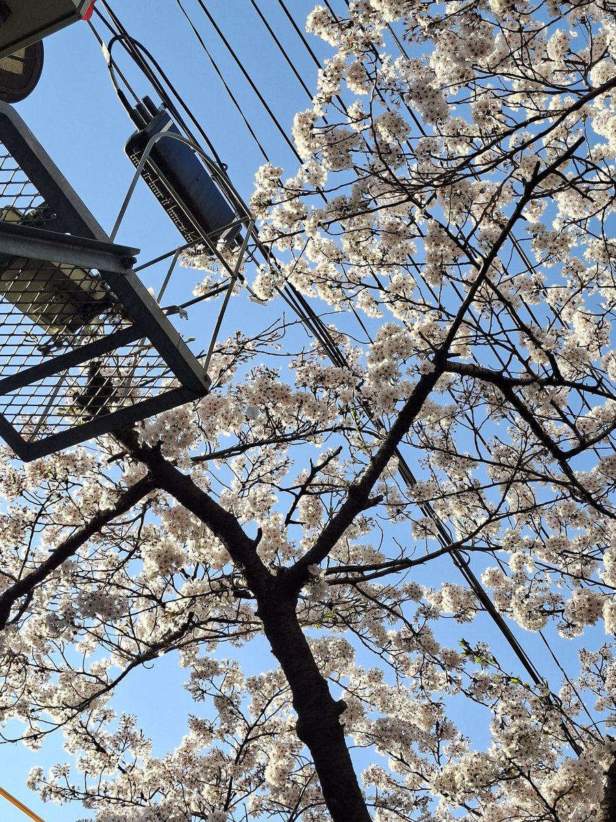 너굴/트친소 팔 받아주세요! tweet media