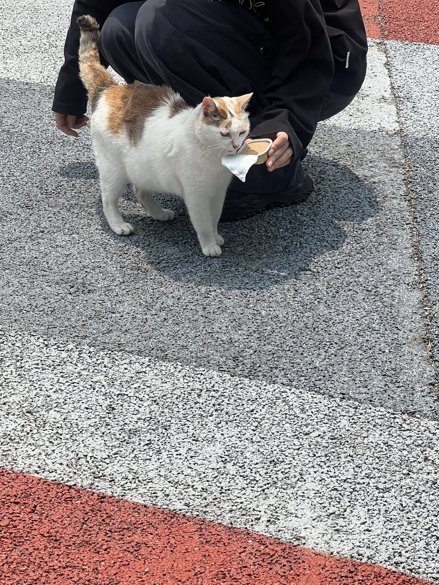周周爱喝粥 tweet media
