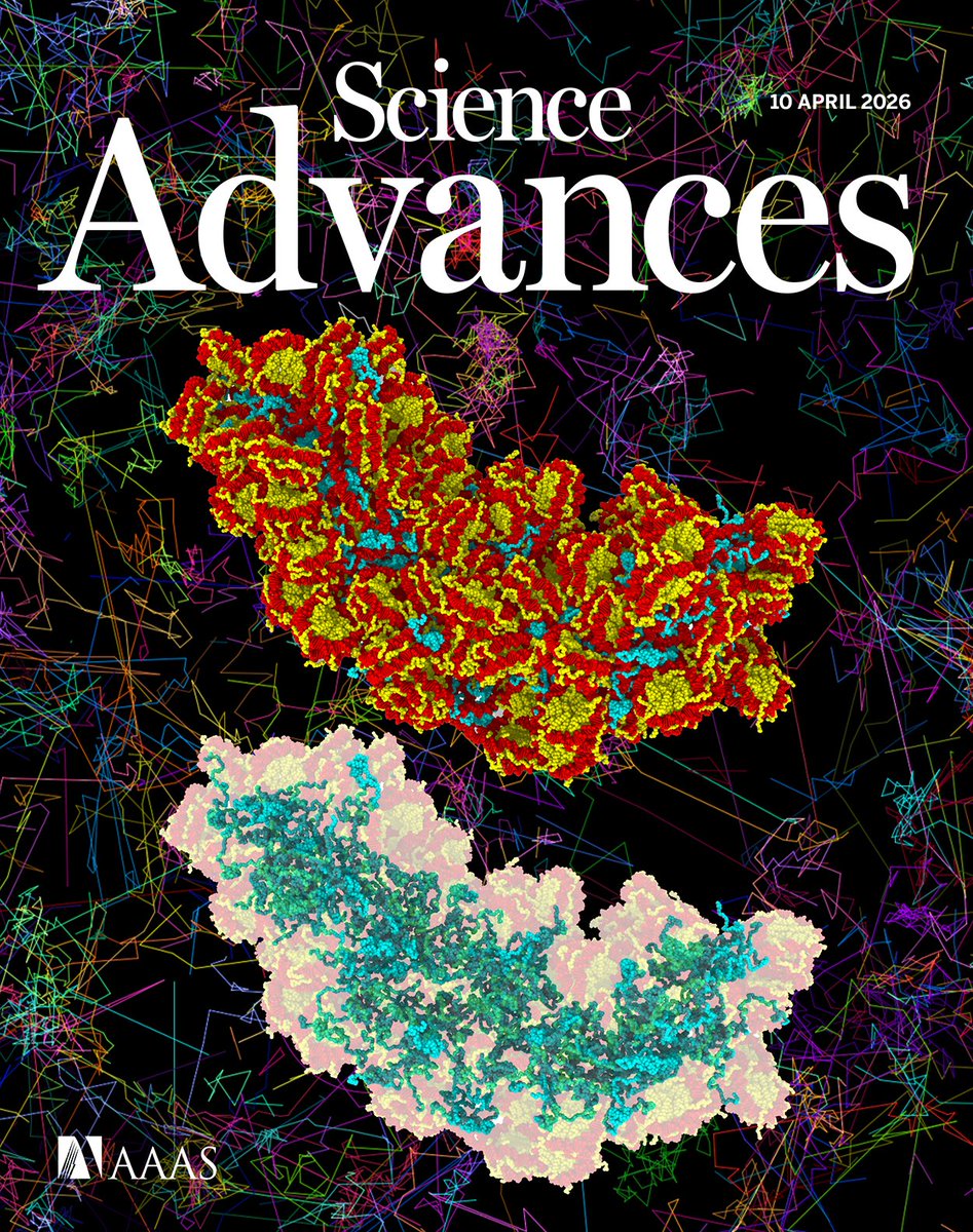 Kazuhiro Maeshima tweet media