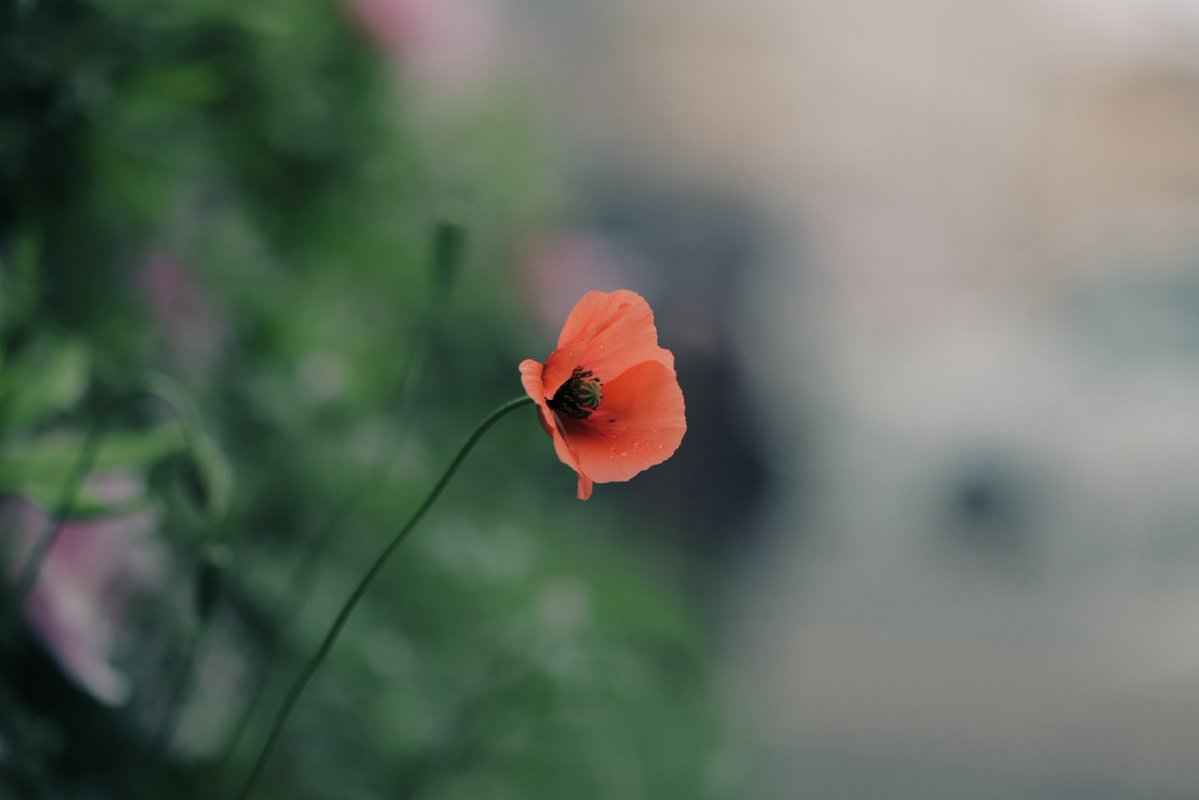 へいじろ tweet media