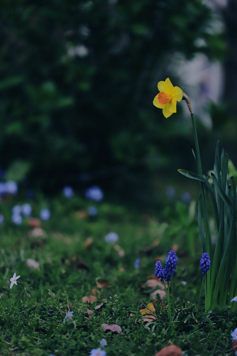 へいじろ tweet media