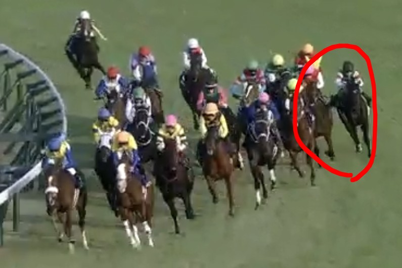 ぽぽん tweet media