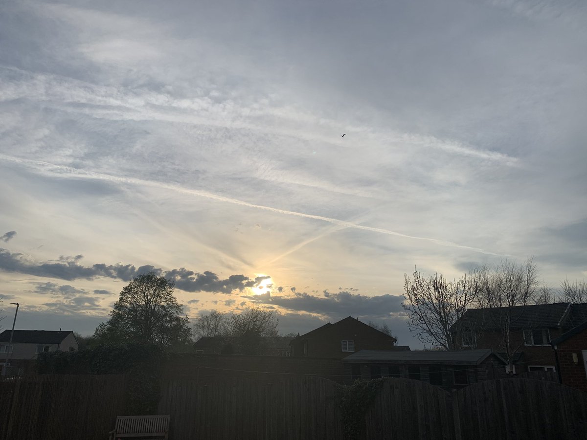 ☀️🥩Wendy🥩☀️ tweet media