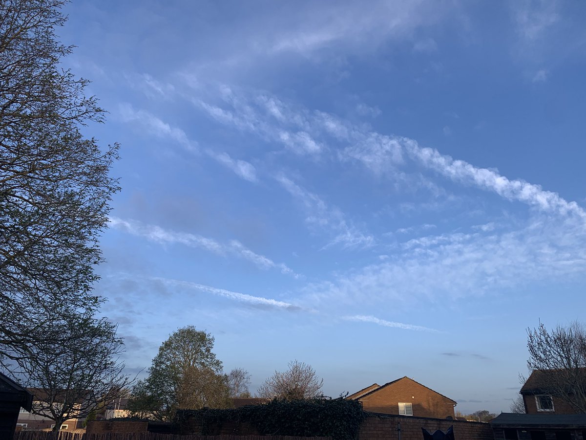 ☀️🥩Wendy🥩☀️ tweet media