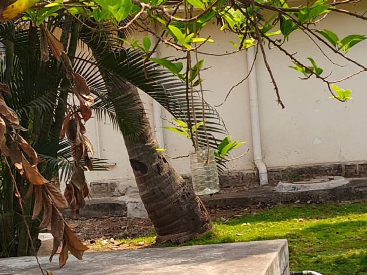 TG Govt Updates tweet media