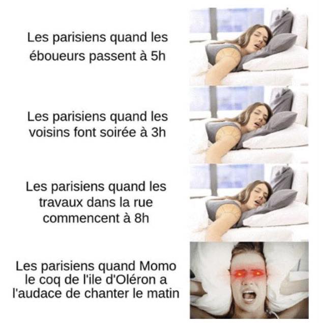 PATHER (@patchagil) on Twitter photo 