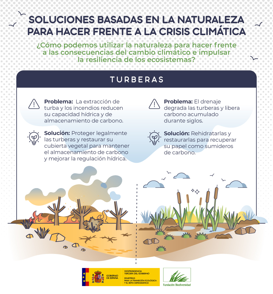 Las turberas guardan carbono durante siglos y regulan el agua, pero su degradación lo libera a la atmósfera.

Recuperarlas y protegerlas es clave para frenar el cambio climático y cuidar nuestros recursos hídricos 🌱