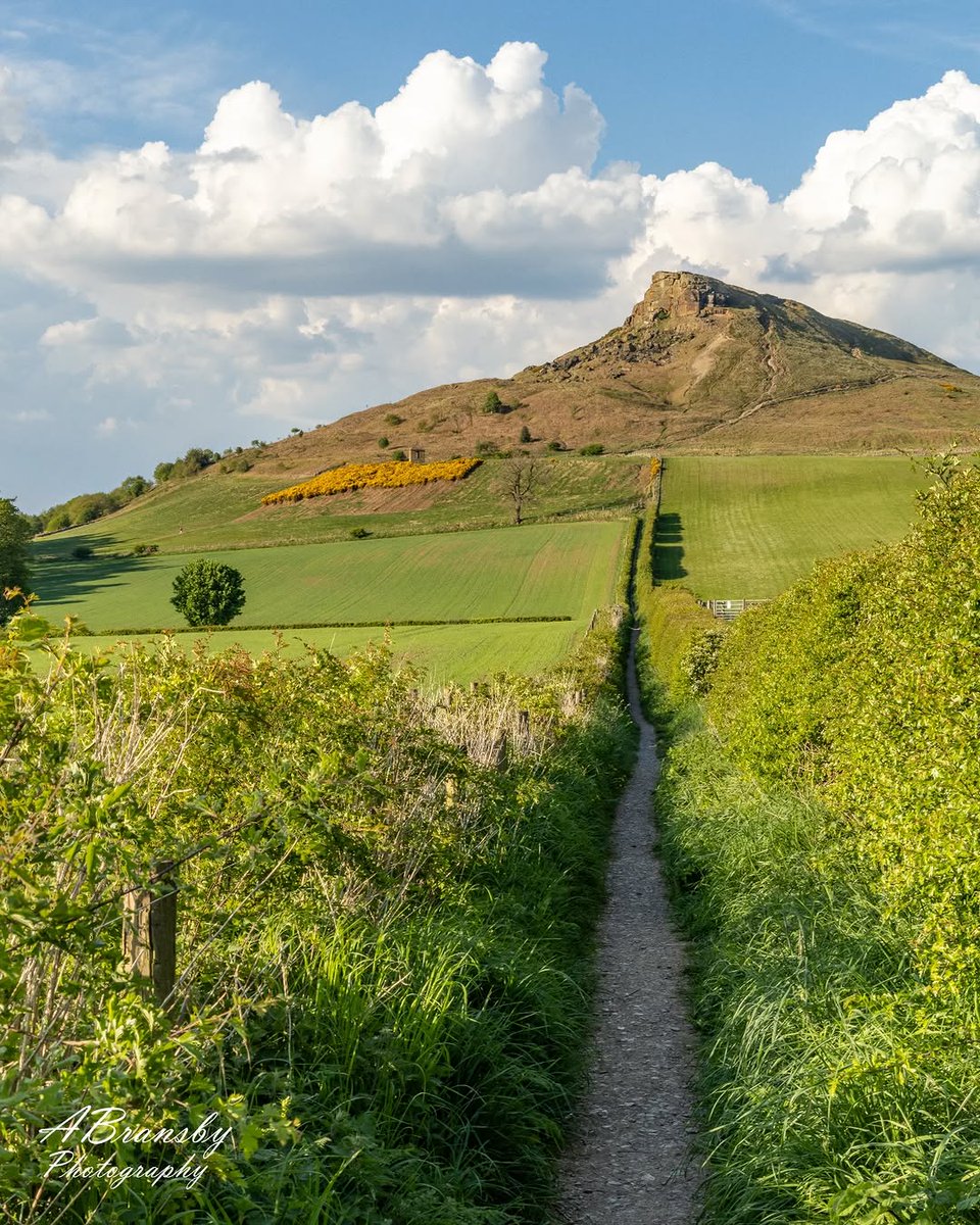 North Yorkshire tweet media