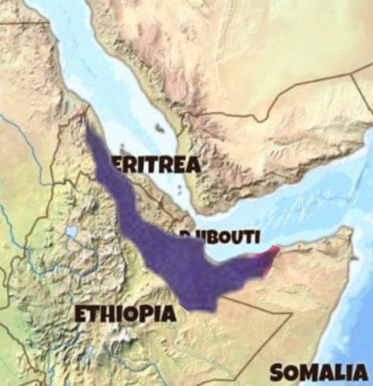 Elham Ishmael ✍︎ tweet media