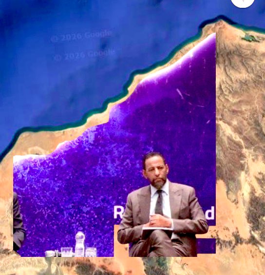 Elham Ishmael ✍︎ tweet media