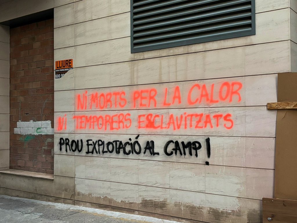 Lleida OJS tweet media