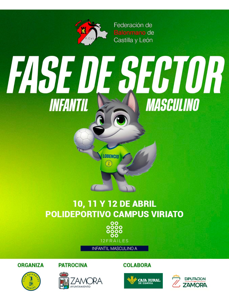 Federación de Castilla y León de Balonmano tweet media