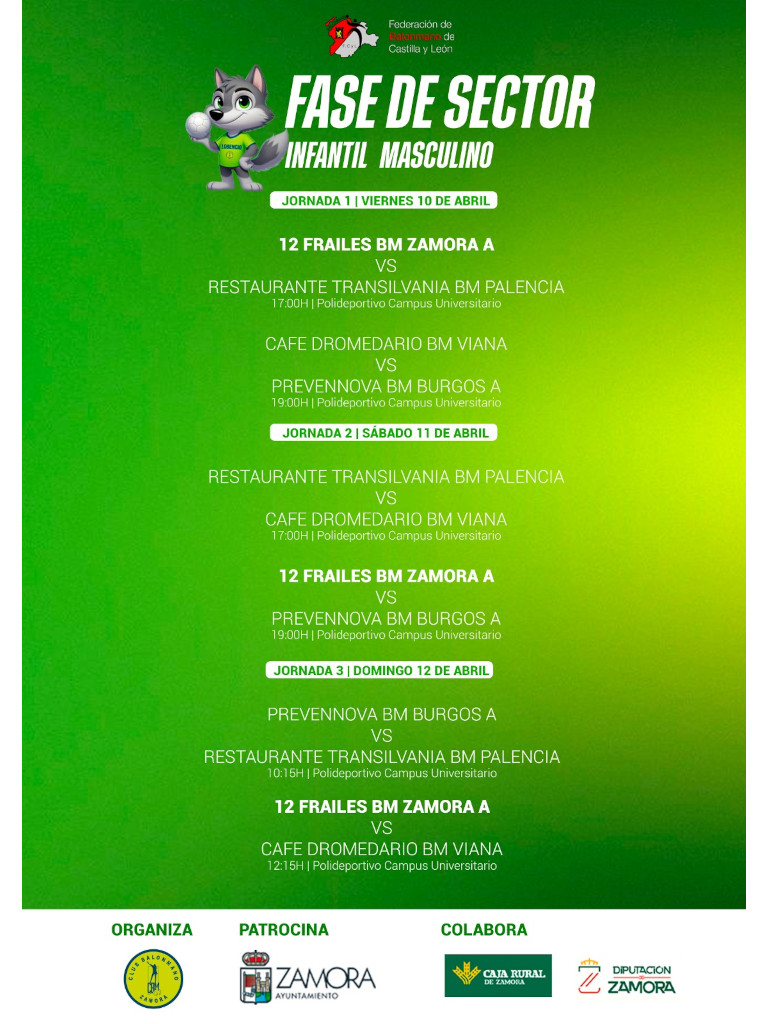 Federación de Castilla y León de Balonmano tweet media