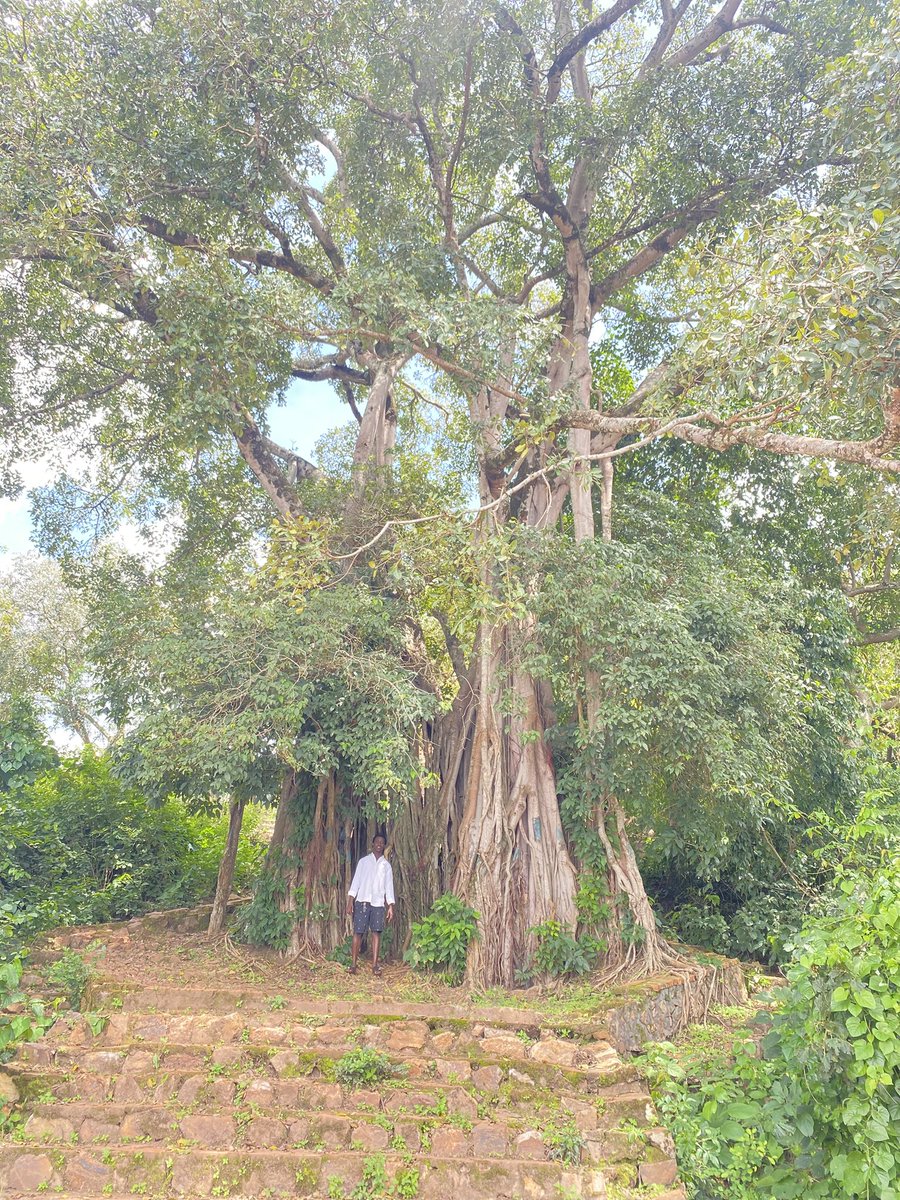 Intore𓋹 Segihembe𓂀 tweet media