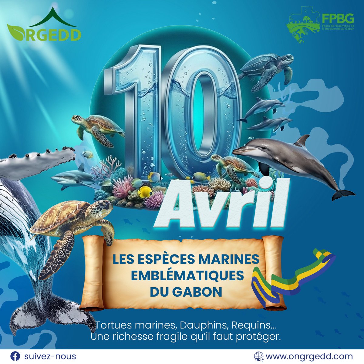 Les espèces marines emblématiques du Gabon!
Tortues, dauphins, requins… témoignent d’une richesse exceptionnelle.

Une biodiversité fragile qu’il est urgent de protéger.

Préservons notre patrimoine naturel.
<a href="/FPBG_Gabon/">FPBG : Fonds de Préservation de la Biodiversité</a> 

#Gabon #BiodiversitéMarine #Océan #Protection