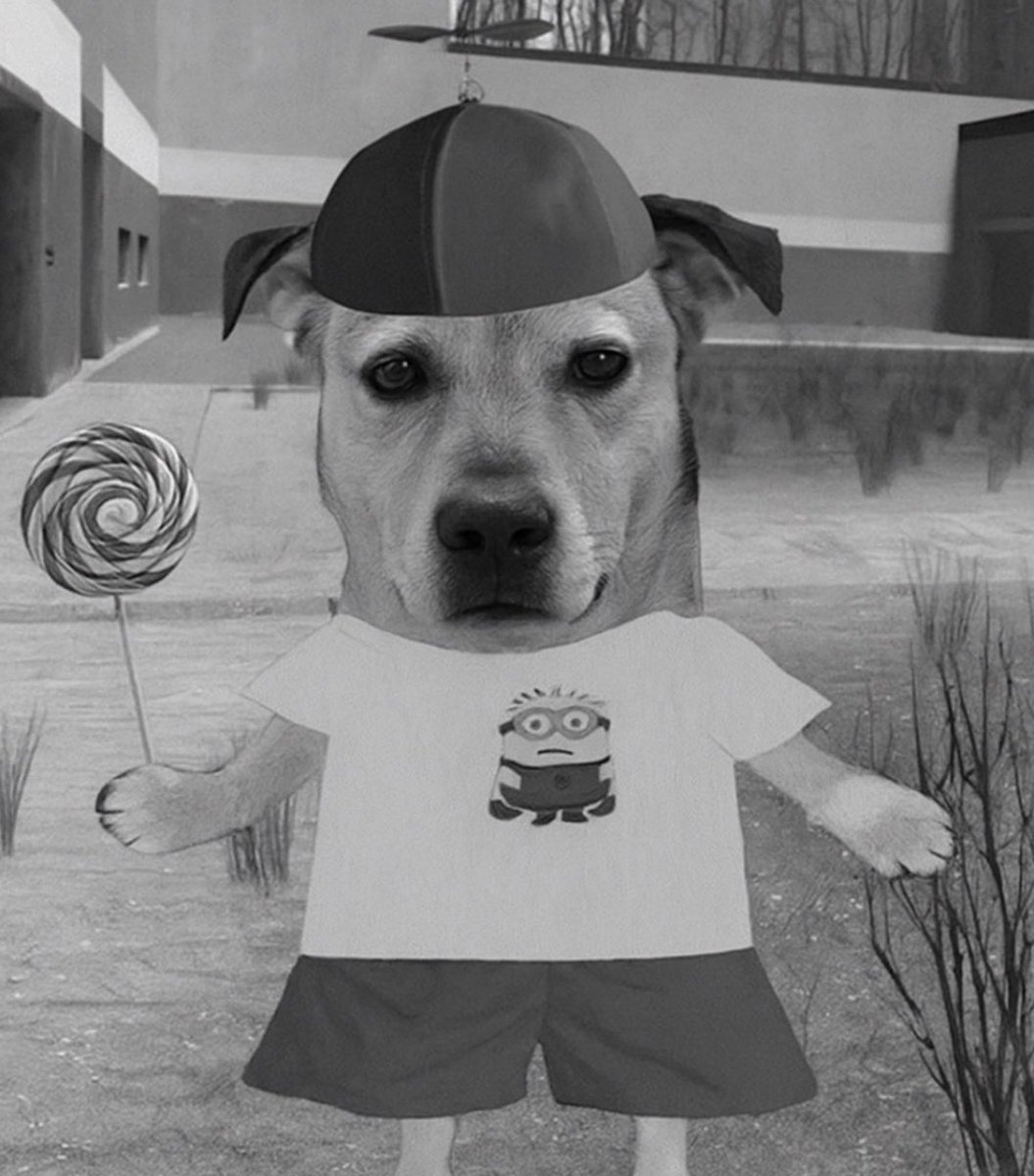 super graphic ultra modern leozy tweet media