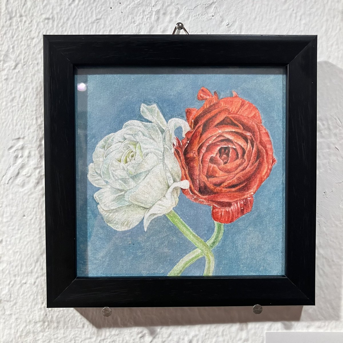 ペーターズショップ＆ギャラリー tweet media