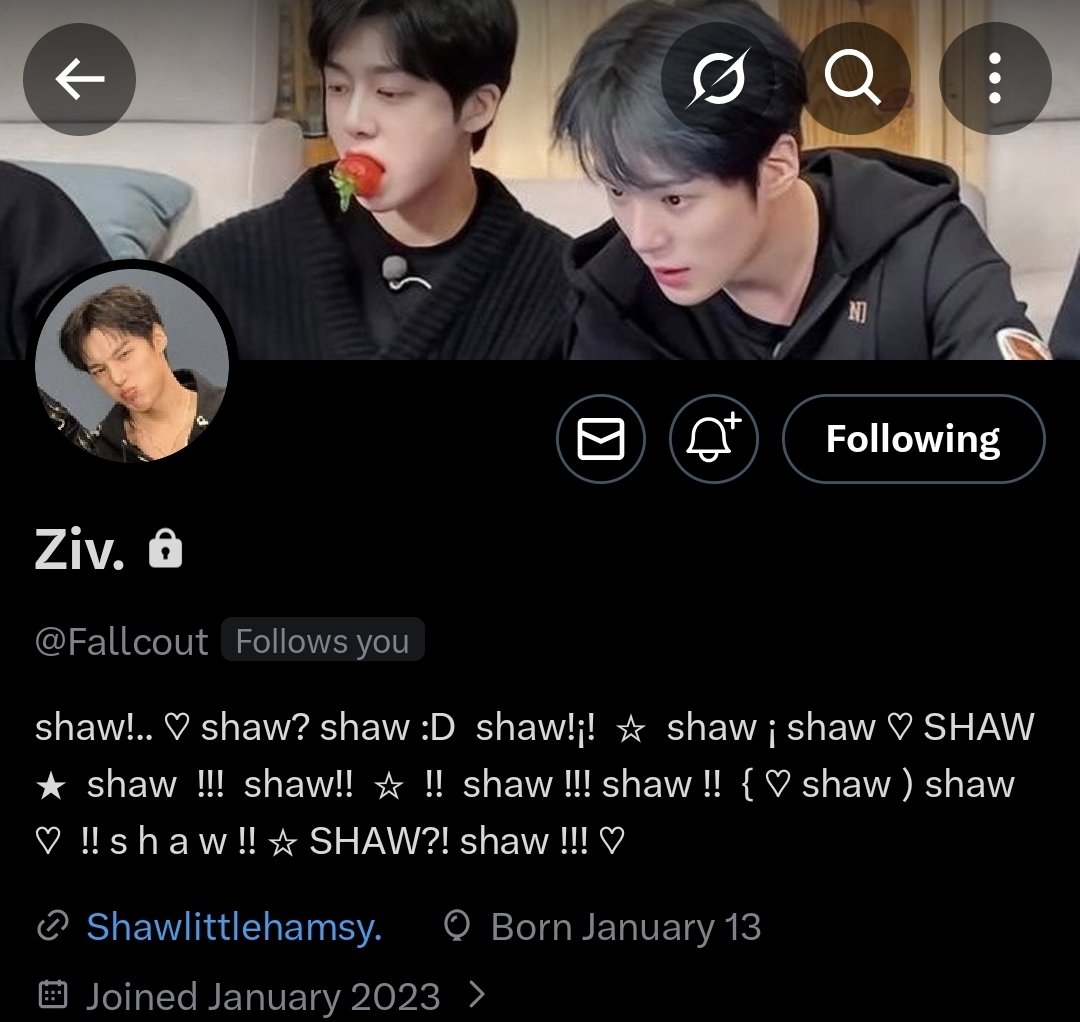 Ziv. tweet media