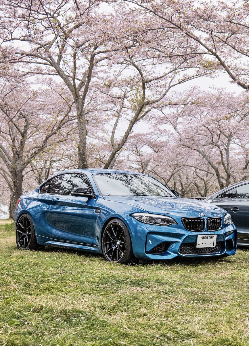 gmpd__1's tweet photo. リップ付けたいけどバンパーボロボロ過ぎて🥺
程度いいやつ落ちてないかなぁ https://t.co/qVLXxXXzs0