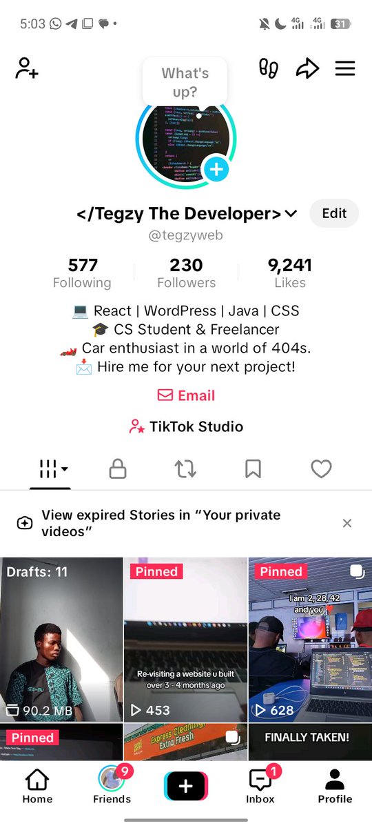 Tegzy The Developer tweet media