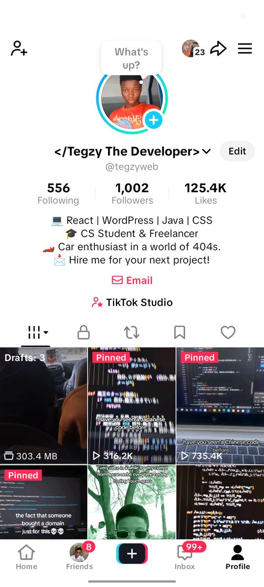 Tegzy The Developer tweet media