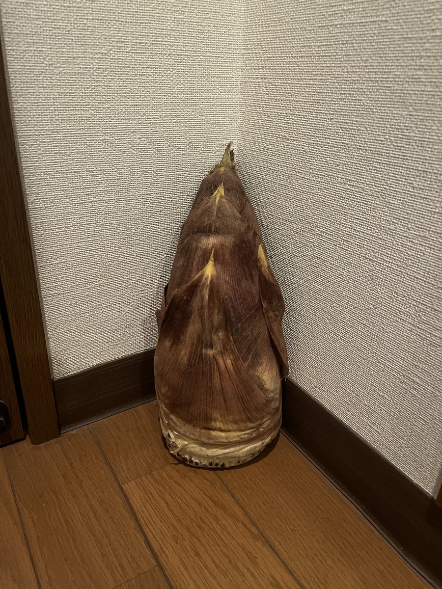 きりぃ@7/18御茶ノ水アコースティック tweet media