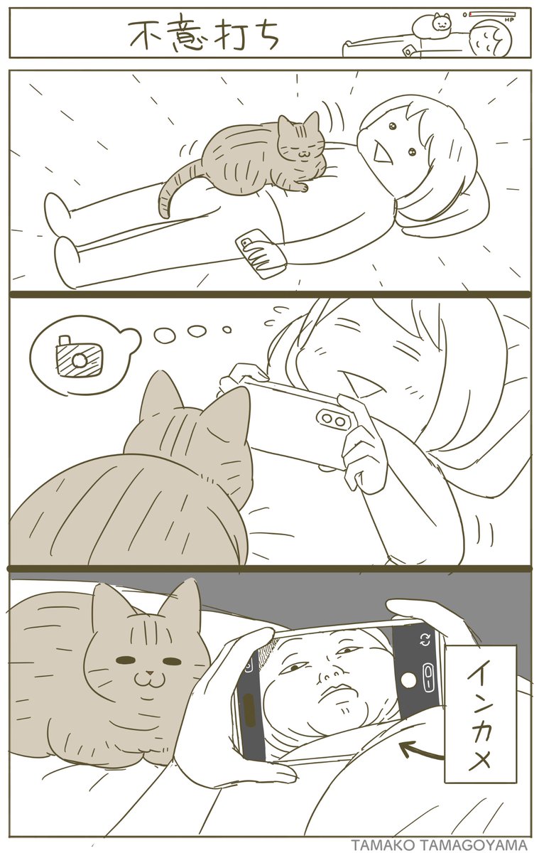 卵山玉子 tweet media