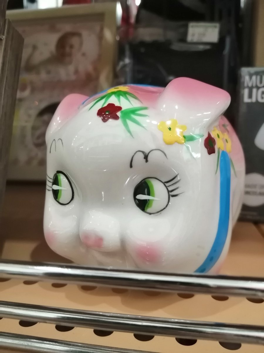 オフハウス新潟松崎店【公式】 tweet media