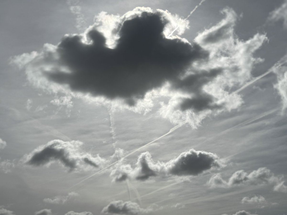 An Declercq tweet media