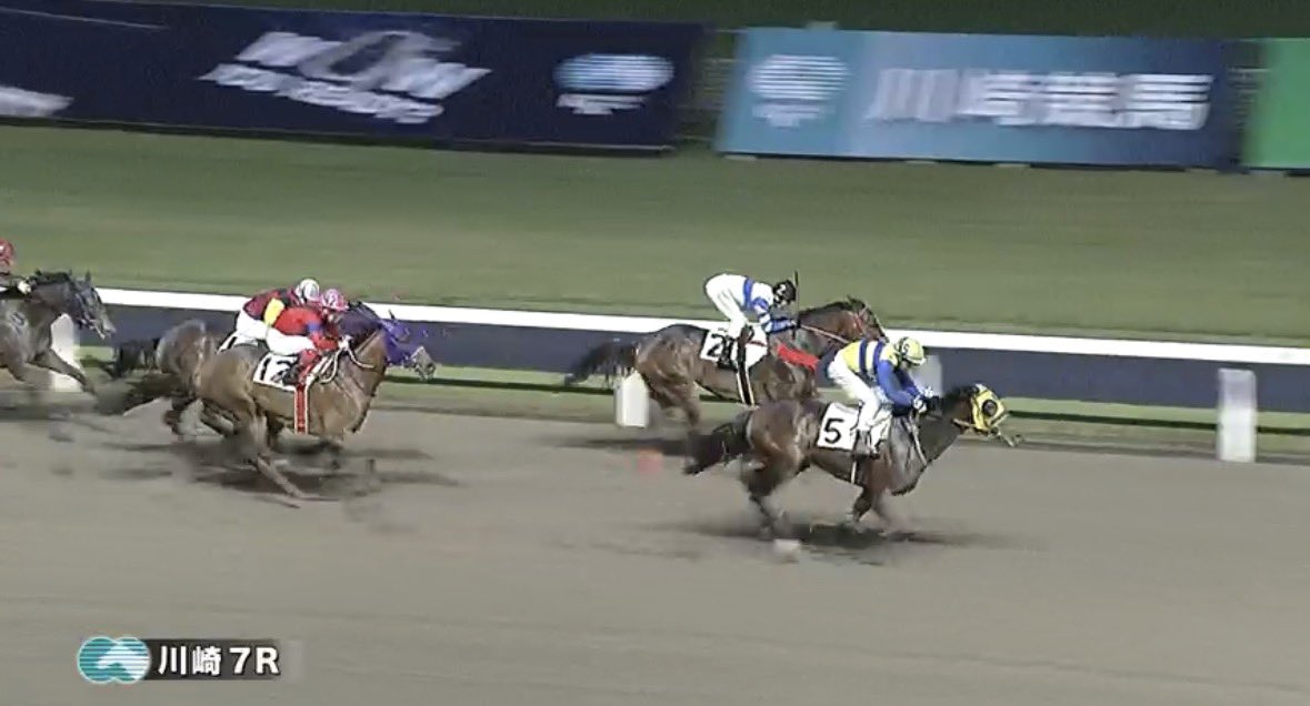 れいな　競馬予想/穴頭 tweet media