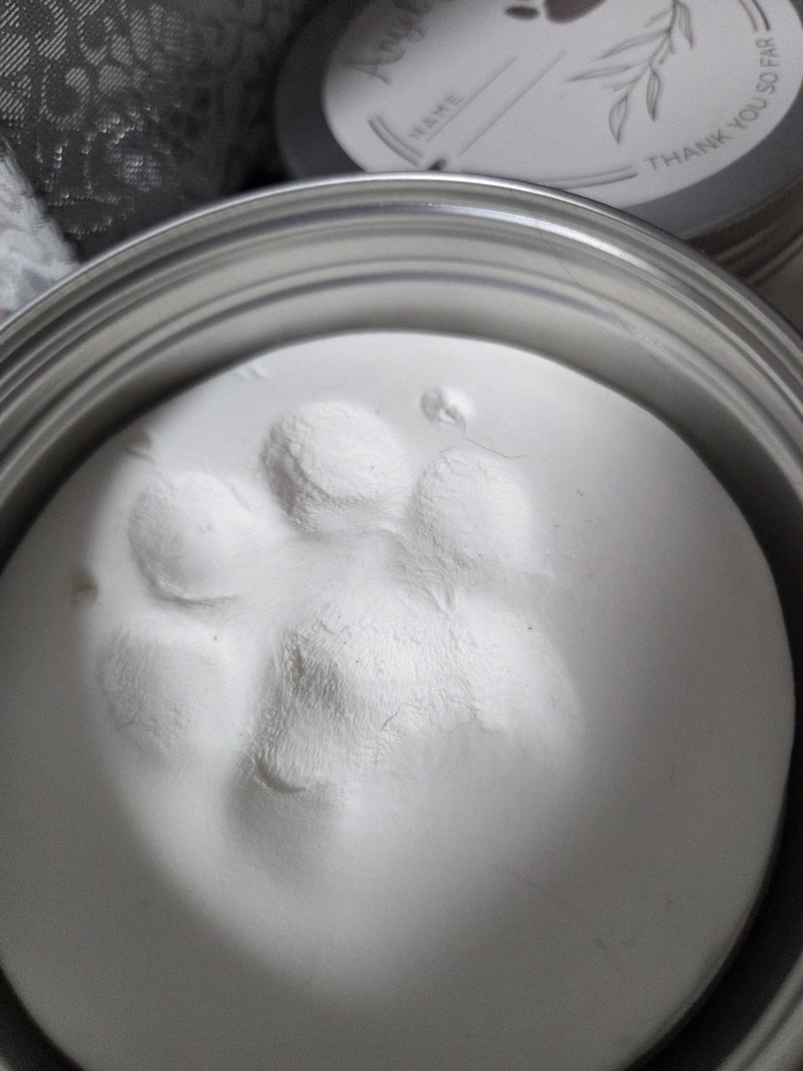 紫月.ゲーム実況★犬猫様の下僕Ｖチューバー tweet media